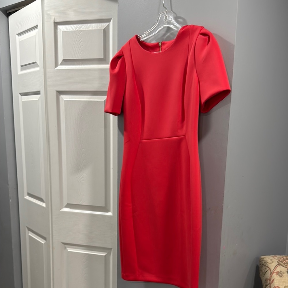 Calvin Klein Red Sheath Dress Short Sleeve Crew Neck